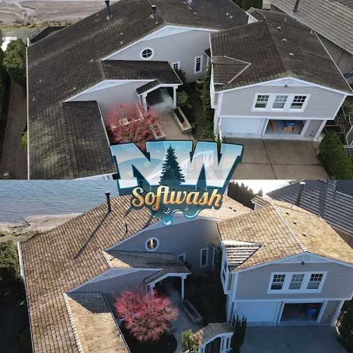NW Softwash & Roof Cleaning in Washington — Professional Moss Removal When It Matters