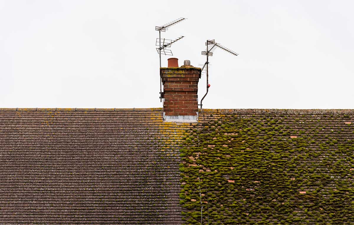 How Often Should You Clean a Roof in the Pacific Northwest Climate?