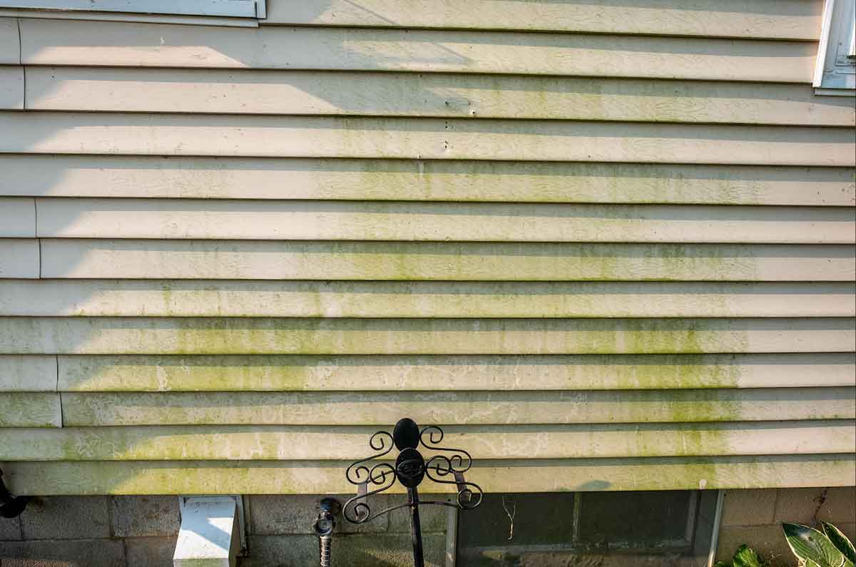 How Much Does It Cost to Soft Wash a House?