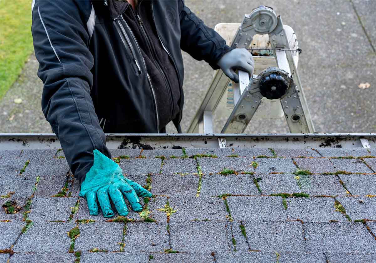 How to Clean Moss Off a Roof (DIY vs Professional Services)