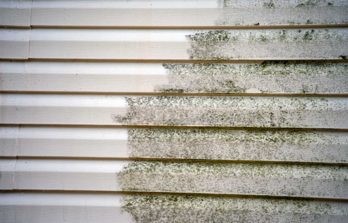 How to Clean Green Algae from the Siding of Your Home: Expert Tips from Softwash Professionals