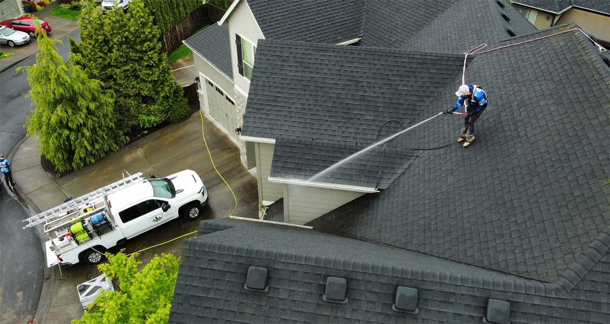 What Are Black Streaks on Roof Shingles?