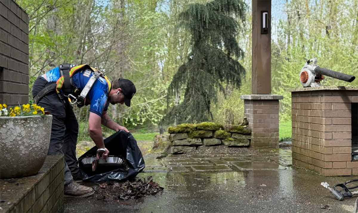 What Happens When Gutters Stay Clogged Too Long