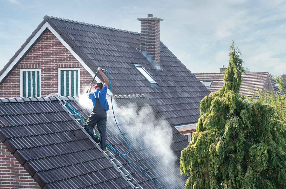 What Black Streaks Are Doing to Your Shingles Underneath
